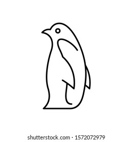 Penguin line icon. Icon design. Template elements