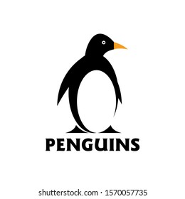 Penguin Logo design vector template