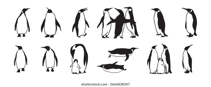 Conjunto de iconos dibujados a mano con logo de pingüino. Colección de Clipart de línea de pingüino de dibujo de esquema. Ilustración vectorial
