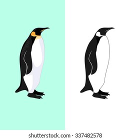 Penguin. Logo, Element logo. Black and white penguin and penguin with shadows and colors. Vector.