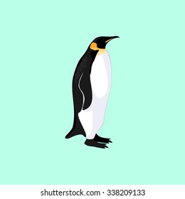 Penguin. Logo, Element logo. Penguin with shadows and colors. Vector.