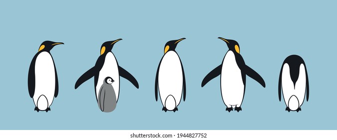 Penguin logo. King Penguin. Set