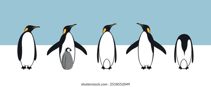Penguin logo. King Penguin. Set