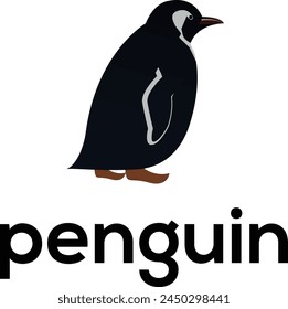 logo de pingüino, diseño de ilustración de Vector de logotipo de pingüino