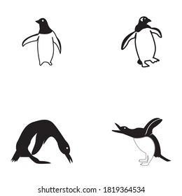 Penguin logo vector template illustration