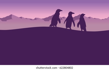 Penguin with mountain background landscape