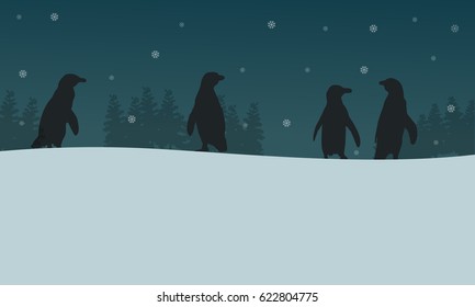 Penguin at night scenery silhouettes