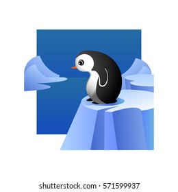 penguin on the arctic