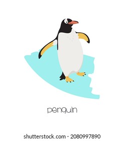 Penguin on the background with a smear. Vector flat image of an animal. Isolated on white background