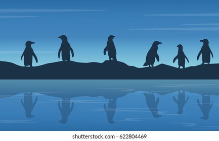 penguin on hill at night landscape