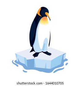 penguin on an ice floe drifting vector illustration design