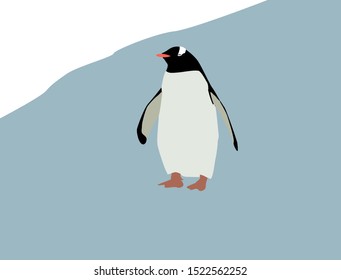 Penguin on ice, illustration, vector on white background.