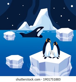 penguin on iceberg and orca whale sea north pole night panoramic vector illustration