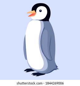 Pingüino sobre fondo azul claro