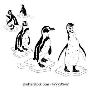 Penguin on outline ice. Vector Illustration black and white, isolated on white background.