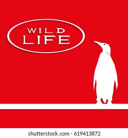 Penguin on a red background with the inscription "wild life". Vector illustration.