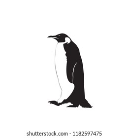 penguin on white background