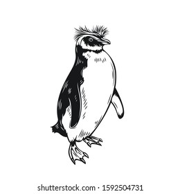 Penguin outline icon. Aquatic flightless birds for zoo design. vector illustration.