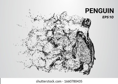 Penguin of the particles. The penguin consists of circles and dots. The penguin splits into molecules.