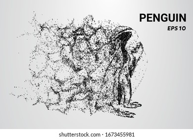 Penguin of the particles. The penguin consists of circles and dots. The penguin splits into molecules.