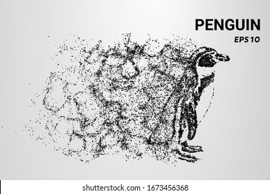 Pinguin der Partikel. Der Pinguin besteht aus Kreisen und Punkten. Der Pinguin spaltet sich in Moleküle.