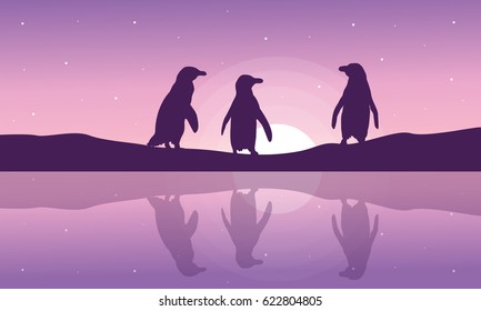 Penguin with reflection at night silhouette