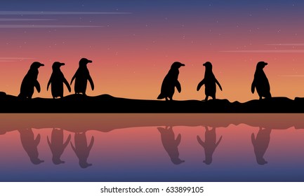 Penguin reflection on water scenery collection stock illustration