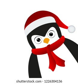 Penguin santa in a cap and scarf on a white background