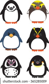 Penguin Set - Vector Illustration