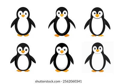 Penguin set vector illustration on white background