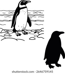 Penguin Silhouette in Details Vector Illustration  