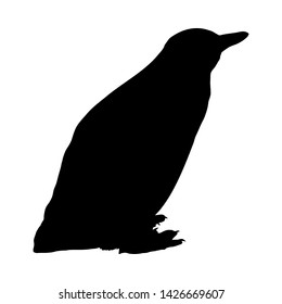Penguin Silhouette. Highly Detailed Smooth Design. Vector Illustration.