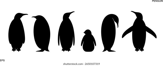Silhueta de pinguim. Pinguim Rei. Definir