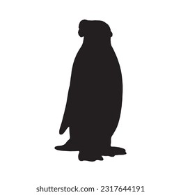 Penguin silhouette set collection isolated black on white background vector illustration