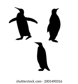 Vector de silueta pingüino, icono en fondo blanco