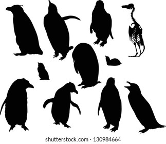 penguin silhouettes isolated on white background