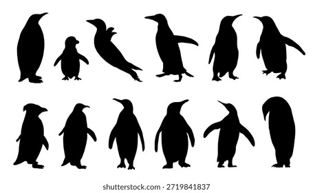 Siluetas de pingüino sobre el fondo blanco