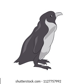 penguin sketch color, vector, white background