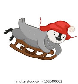 Penguin sledding isolated on a white background.