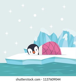 penguin sleep  in North pole Arctic