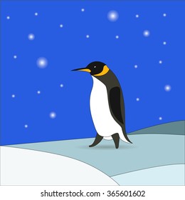 penguin and snow
