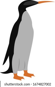 Parada pingüina, ilustración, vector sobre fondo blanco.