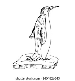 Penguin standing on the ice. Vector illustration.