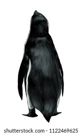 penguin stands in full height back, sketch vector graphic color illustration on white background