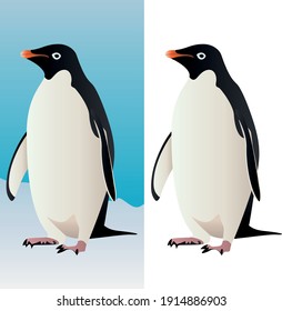 Penguin stands on the snow - isolated on white background