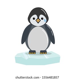 The penguin stood crying on the ice sheet. 