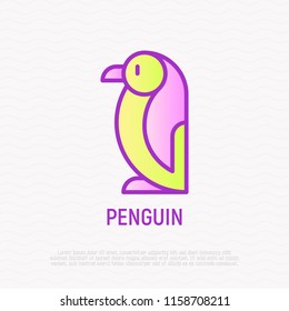 Penguin thin line icon. Modern vector illustration.
