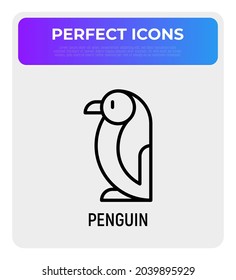 Penguin thin line icon. Modern vector illustration.