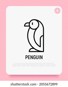 Penguin thin line icon. Modern vector illustration.