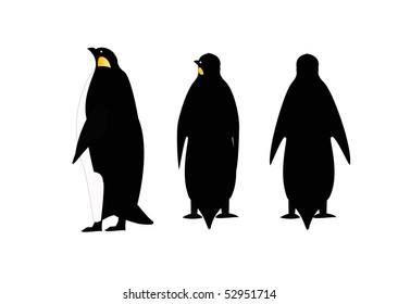 A Penguin In Three Poses On A White Background Isolated